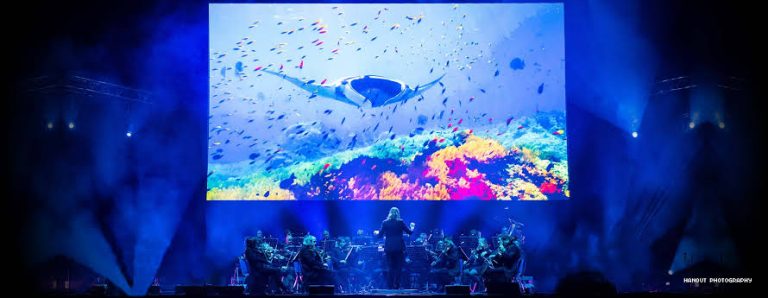 images - 2025-03-03T052901.235