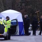 images - 2025-03-04T044234.063