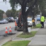 images - 2025-03-04T163236.611