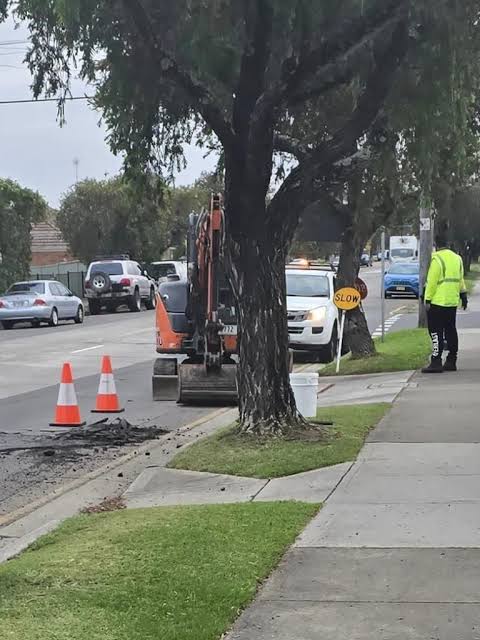 images - 2025-03-04T163236.611