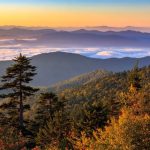 images - 2025-03-20T093333.459