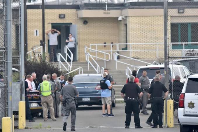 images - 2025-05-12T080753.341