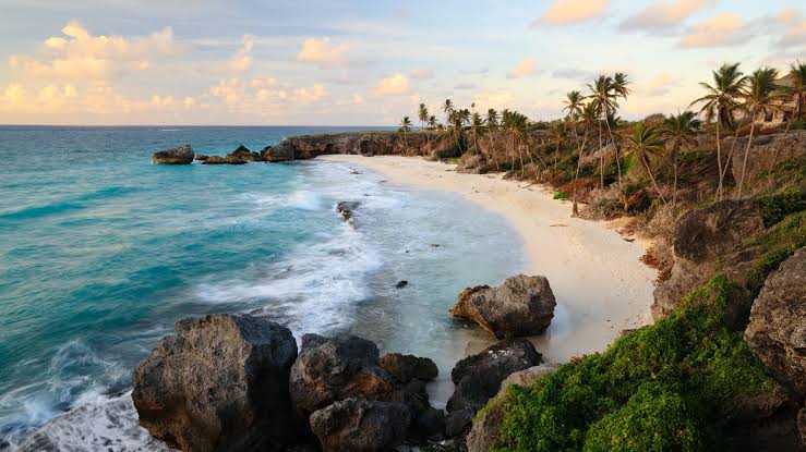 images - 2025-05-18T171515.750