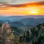 images - 2025-05-24T201915.546